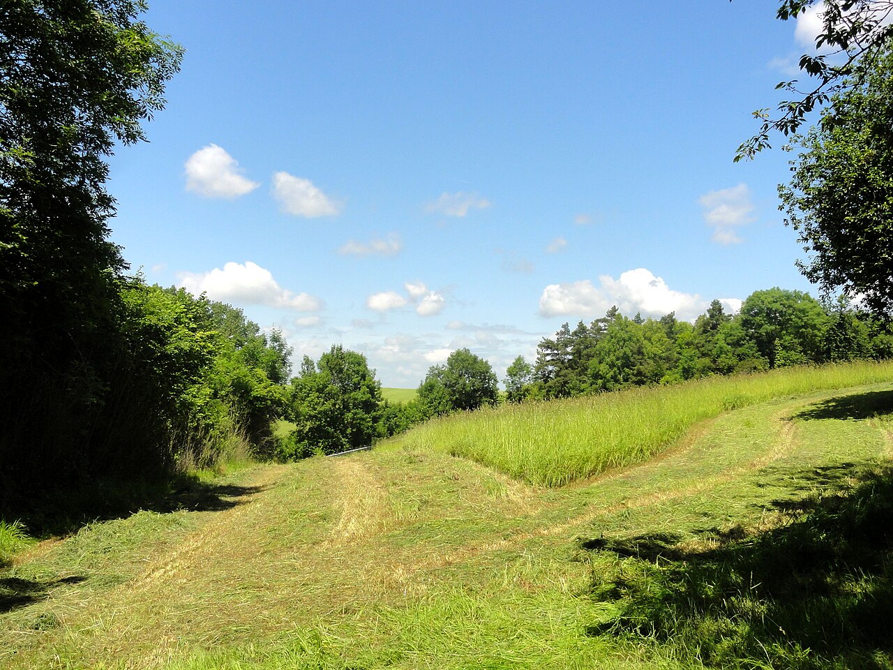 Anciens bâtiments de la Grange aux dîmes
